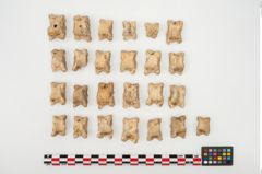 Foto von Astragalknochen (NHMW-PRAE-025128)